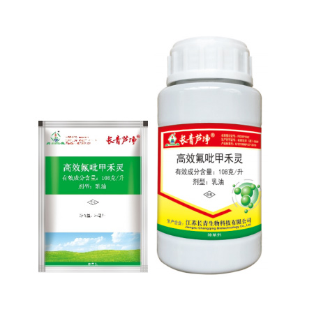 美狮贵宾会芦净?